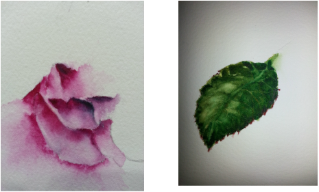 How To Paint Water Droplets In Watercolor - Paint A Leaf With Waterdroplets (465x281), Png Download