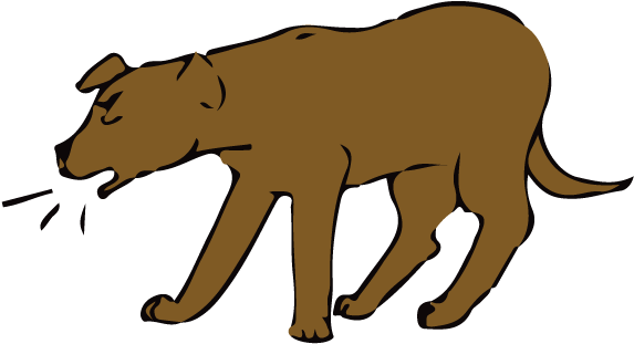 Canine Parainfluenza Virus 5 (576x360), Png Download