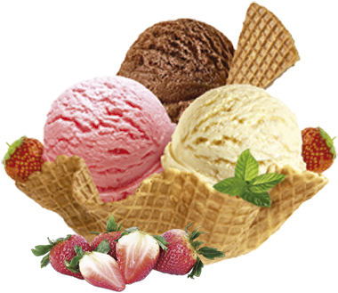 Gourmia automatic ice cream maker best sale