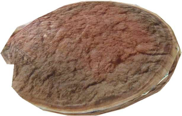 Antarctic Scallop - Antarctica (614x614), Png Download