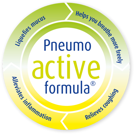 Prospan® Cough Syrup - Leaflet Prospan (494x608), Png Download