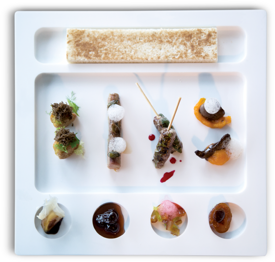 Materials - Finger Food (570x570), Png Download