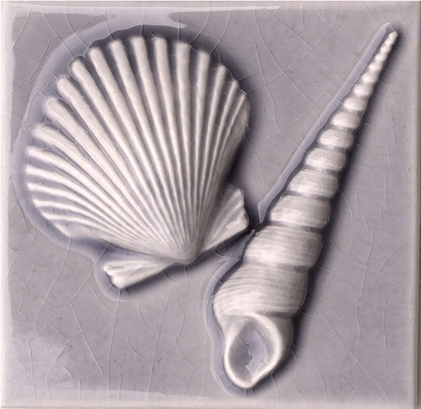 4 1/4" X 4 1/4" Scallop/screw Shells (864x864), Png Download