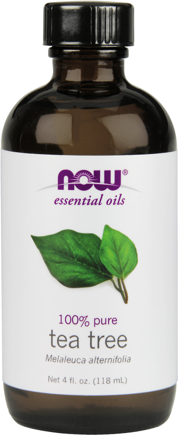 Tea Tree Oil - Fl Oz Now Foods Rosemary Essential Oil (367x880), Png Download