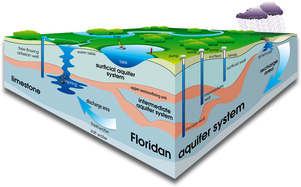 Cutaway Illustration Of The Floridan Aquifer - Florida Homes Don T Have Basements (1050x660), Png Download