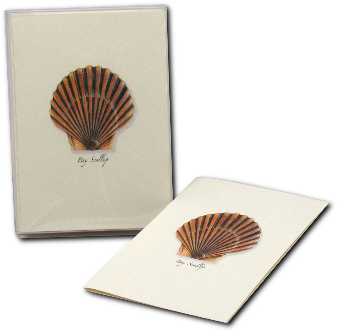 Shopping Cart -  -  - Shell (1200x1200), Png Download