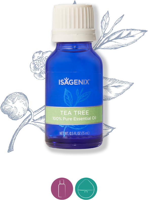 Tea Tree - Isagenix Essence Lemon Essential Oil (1200x900), Png Download