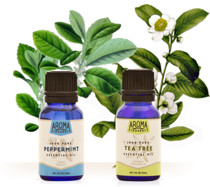 Wardee Peppermint And Tea Tree Oil Bundle - All About Tea By William Ulkers (447x480), Png Download