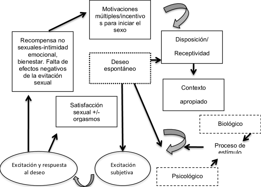 La Dimensiones Del Conflicto En Terapia De Pareja - Dimension (850x608), Png Download