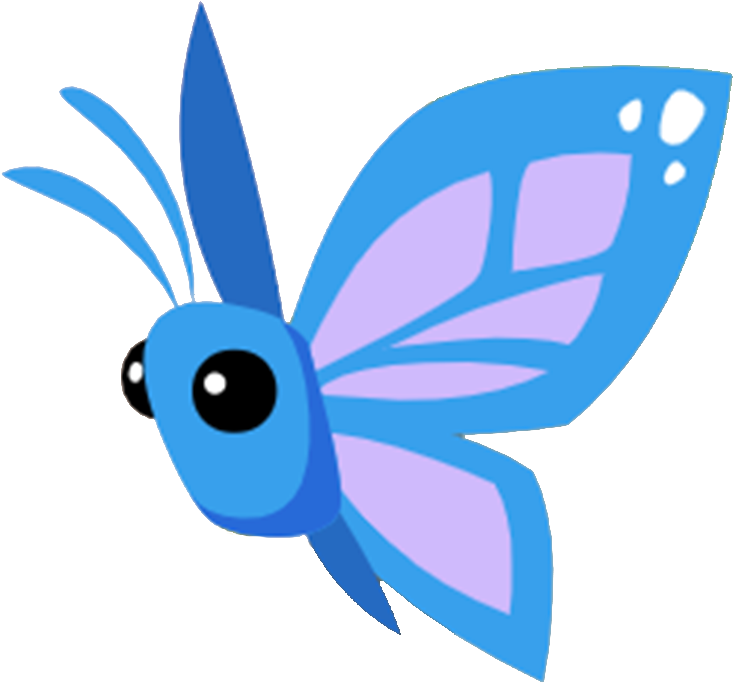 Butterfly (980x986), Png Download