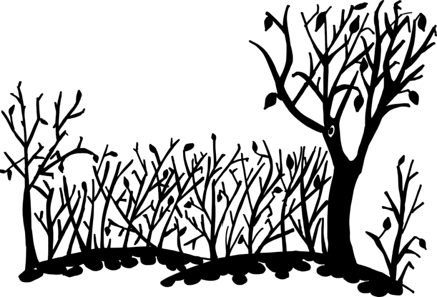 Free Png Nature Background Silhouette Png Images Transparent - Background Of Nature Drawing (850x579), Png Download