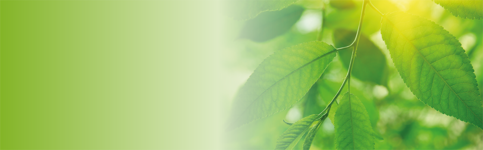 Natures Gold Web Banners 4 Background - Concrete (960x300), Png Download