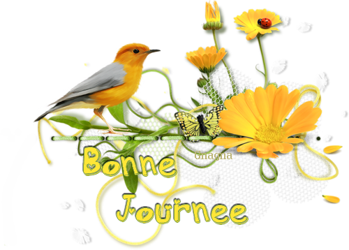 Tube Fiori Png (500x358), Png Download