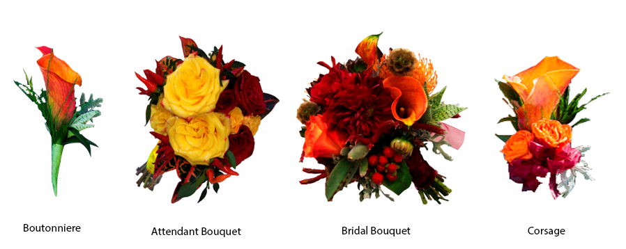 More Views - Enchanted Florist (898x358), Png Download