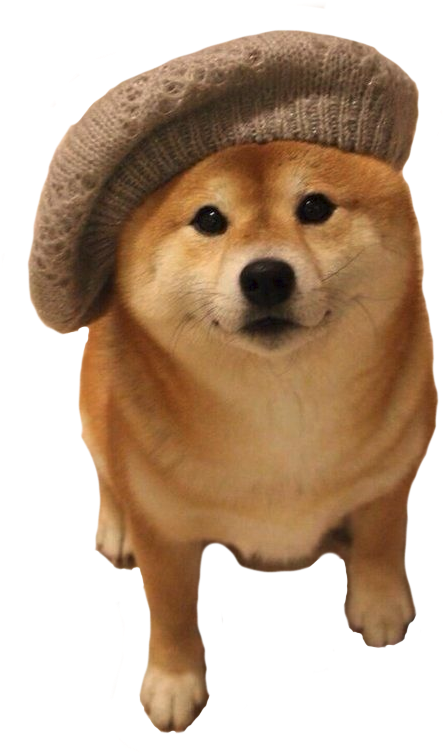 Shiba Inu Beret (520x800), Png Download