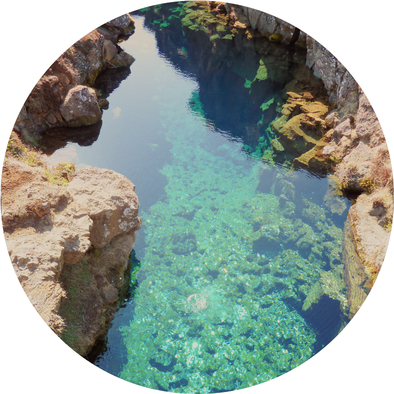 Ground Crack Png Transparent (1000x1000), Png Download