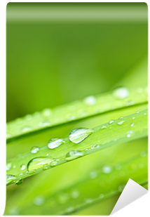 Water (400x400), Png Download
