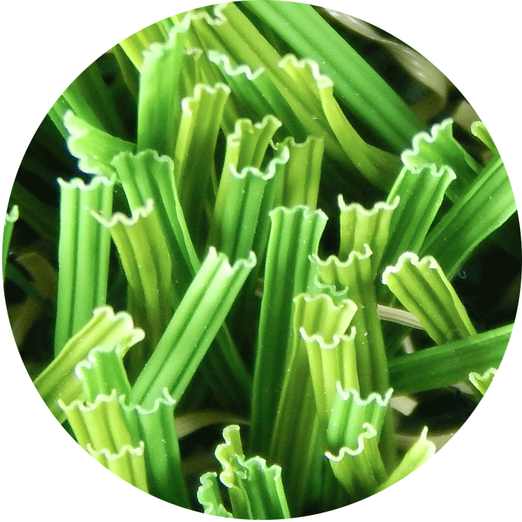 Waveblade™ Technology - Produce (750x750), Png Download