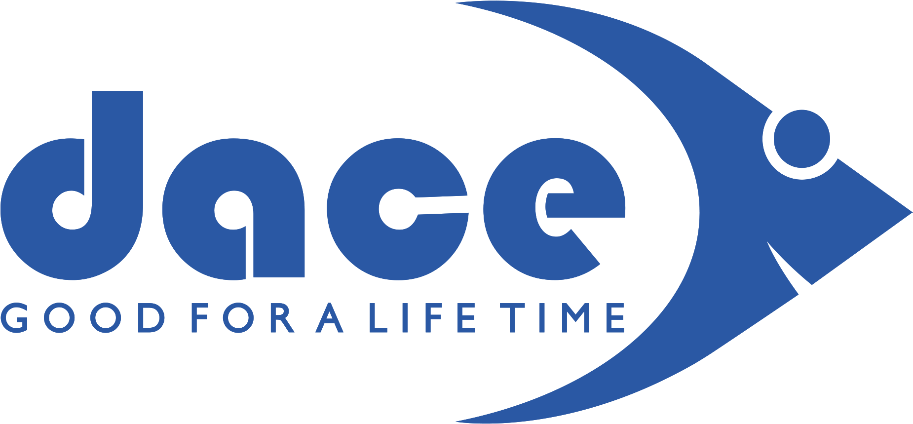 Dace Appliances North America S - Ice Storm By Rick Moody (1920x1080), Png Download