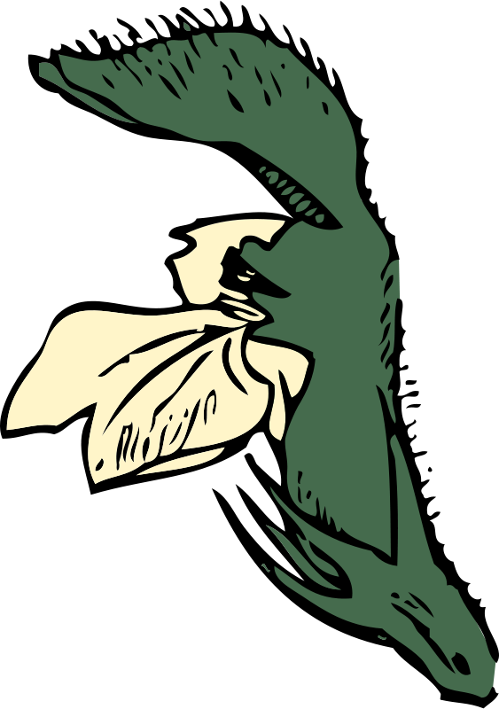 Flower Plant Clip Art At Clker Com Vector Clip Art - Clip Art (420x596), Png Download