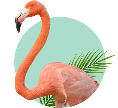 En Un Hecho Sin Precedentes, La Fundación Pedro Y Elena - Palm Tree Leaves Png (398x365), Png Download