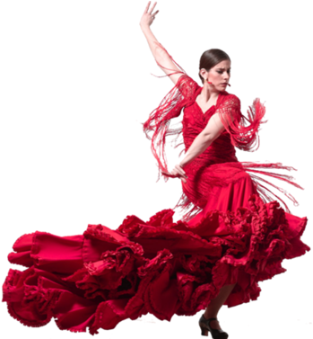 Show - El Flamenco (376x376), Png Download