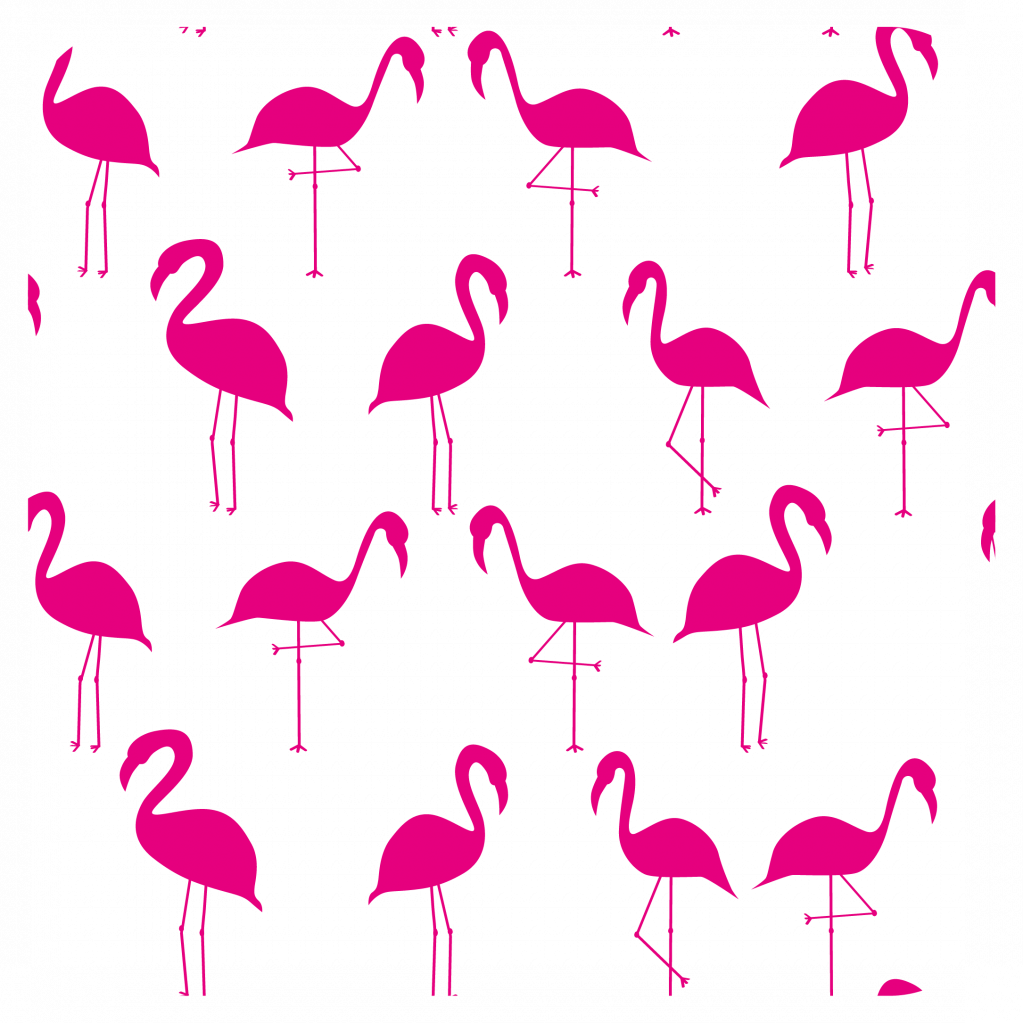 1,50 € Extra En Este Producto - Flamenco (1023x1023), Png Download