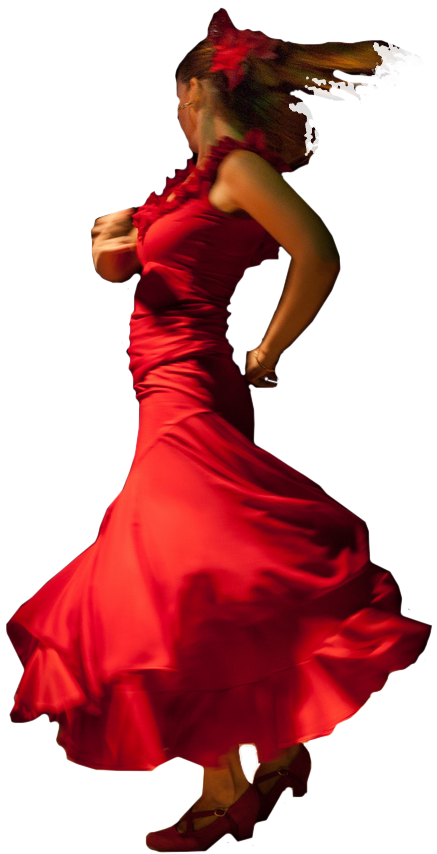 We Will Celebrate The Flamenco Dance Dinner In Our - Barcelona (962x882), Png Download