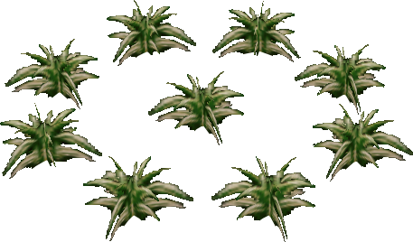 Zelda Majora's Mask Grass (457x268), Png Download