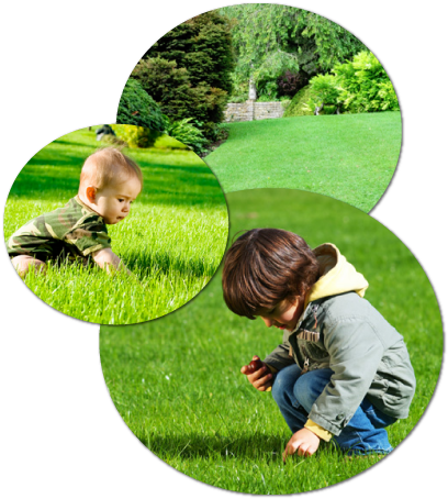 Blades Landscaping Is A Family Owned Business Started - Modbury Two In One Convertible Garden Bench (423x468), Png Download