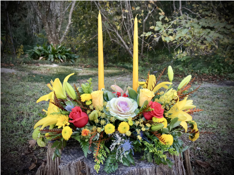 Giving Thanks - Garden Roses (480x480), Png Download