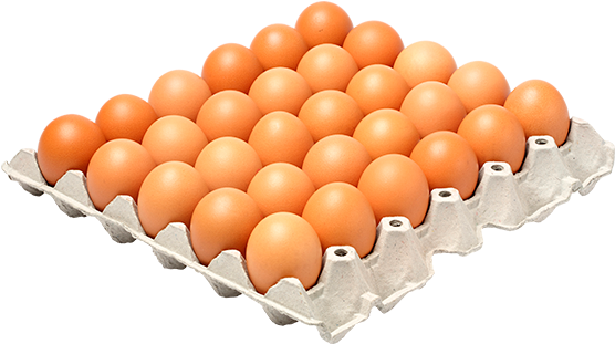 Huevos Aa Cubeta - Fresh Eggs Or Shell Eggs (600x600), Png Download