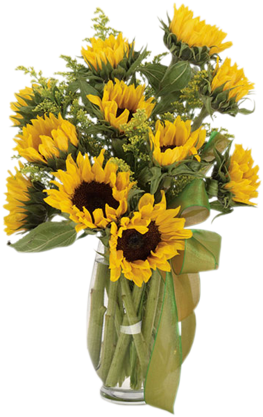 Sunflower Fields - Sunflower Field Bouquet (600x600), Png Download
