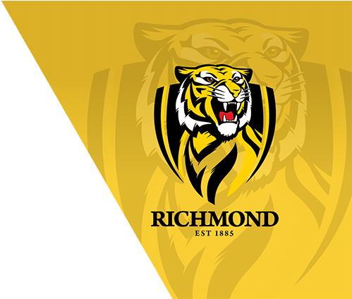 St Kilda Saints Logo Richmond Tigers Logo - St Kilda Vs Richmond (752x423), Png Download