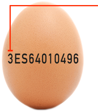 ¿qué Tipos De Huevos Hay En El Mercado - Clases De Huevos (350x400), Png Download