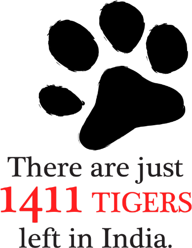 Save Tigers-ours National Animal » Aaaadbddtigaaaaaalfxrq - Save Tigers In India (500x500), Png Download