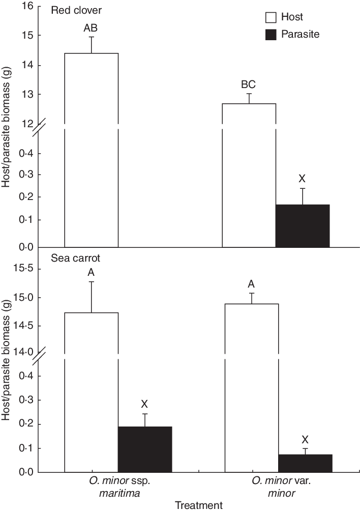 Host And Parasite Biomass Harvested From Pot-cultivated - Diagram (708x1004), Png Download