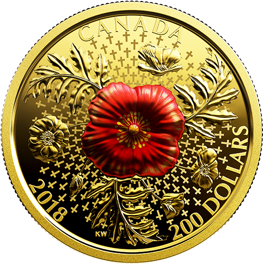Pure Gold Coin - Gold Coin (570x570), Png Download