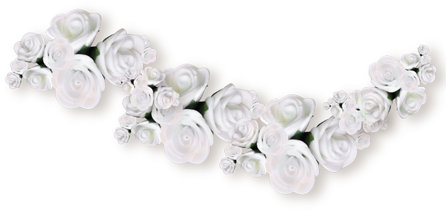 Розы - - Цветы - Клипарты Png - Клипарты У Анны - White - Лепестки Белых Роз Png (650x378), Png Download