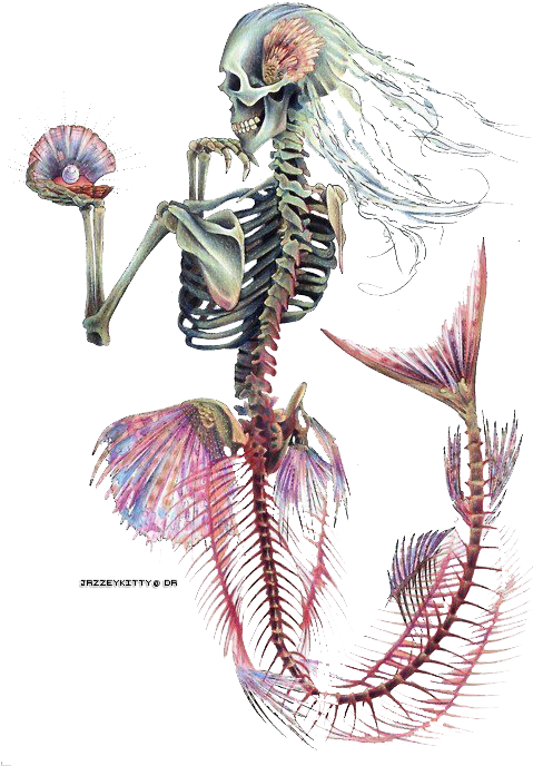 Tattoo Designs, Tattoo Ideas, Mermaid Skeleton, Skeleton - Mermaid Skeleton Tattoo Design (500x697), Png Download