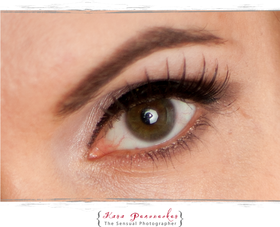 Portland Boudoir - Eye Shadow (950x779), Png Download