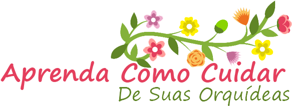 Como Cuidar De Orquideas - Orchids (600x240), Png Download