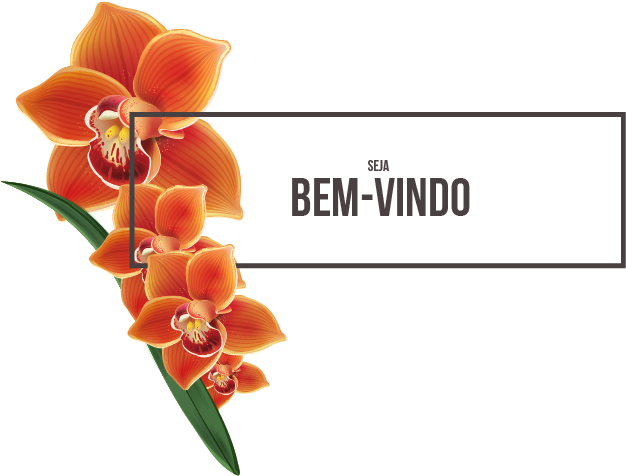 O Bistrô E Pousada Orquídea Café É A Sua Melhor Opção - Orchids Of The Philippines (691x532), Png Download