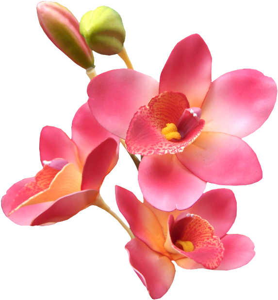 Orquídea - Romantic Husband Good Mrng (588x630), Png Download