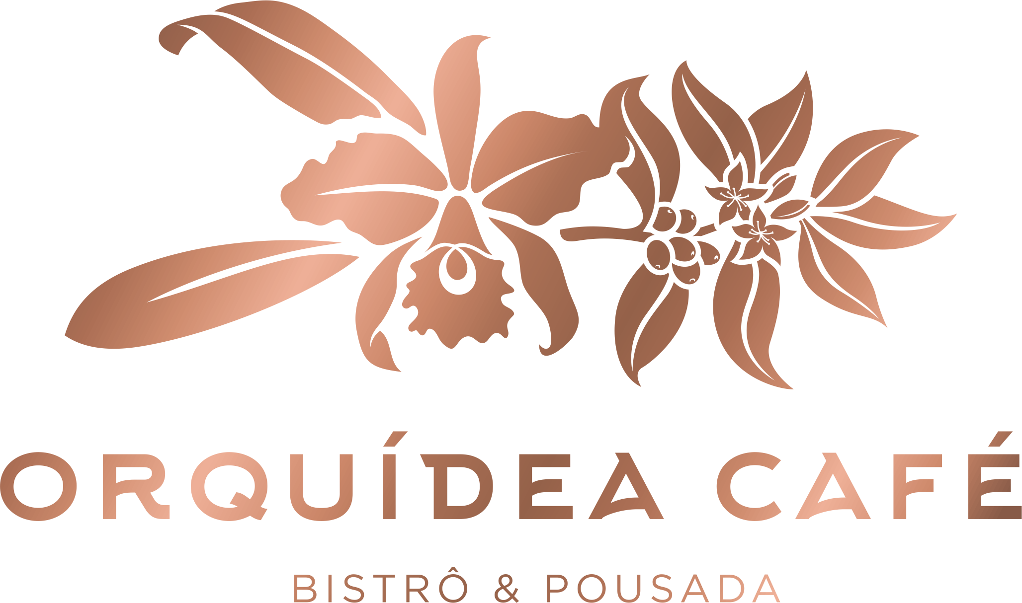 99272-2612 - Logo Orquídea (2056x1214), Png Download