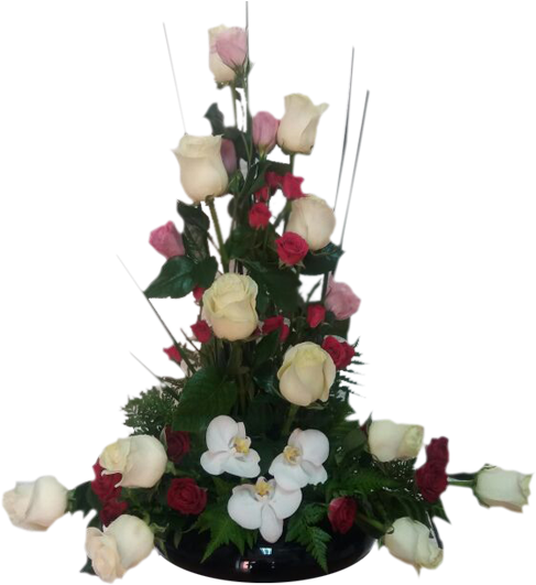 Arrimo En Rosas Y Orquídea - Garden Roses (522x588), Png Download