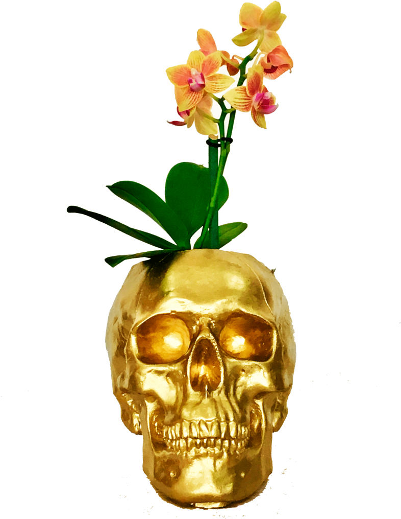 Mini Orquídeas Craneo Dorado - Orchids (930x1110), Png Download