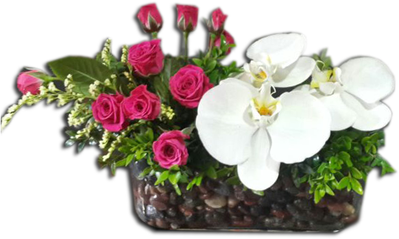 Orquídeas Y Rosas - Photography (581x693), Png Download