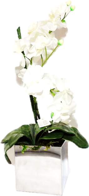 Arranjo Orquídea Branca, Vaso Inox Quadrado Cod - Vaso Com Orquidea Png (885x664), Png Download