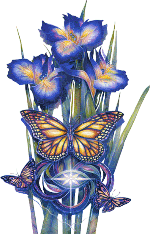 Gifs, Imagens E Efeitos - Drawing (505x786), Png Download